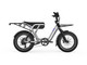 UTO OG200 Electric Bike Electric Bike 