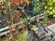 Benno RemiDemi XL Performance (Pre-Owned) Electric Bike 