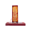 Tachyonized Root Chakra Stimulator is a Tachyon sacred tantra product. Activate, stimulate and awaken your sexuality, increase orgasmic pleasure and aid sexual healing. Shop Now.
