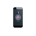 Tachyon Micro Disk on the back of a cell phone.