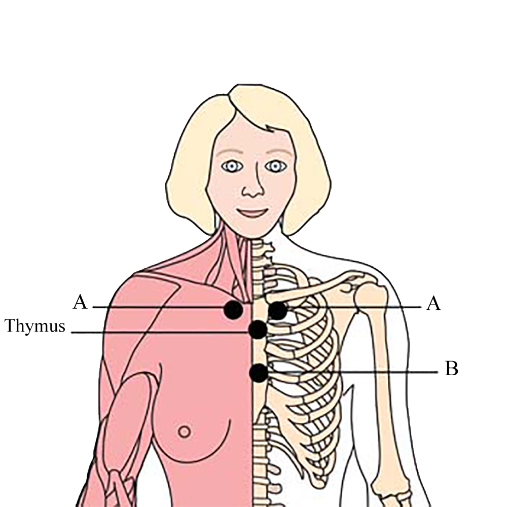 os-ova-menstrual-menopausal-cell-points-tachyon-product.png os-ova-menstrual-menopausal-cell-points-tachyon-product.png