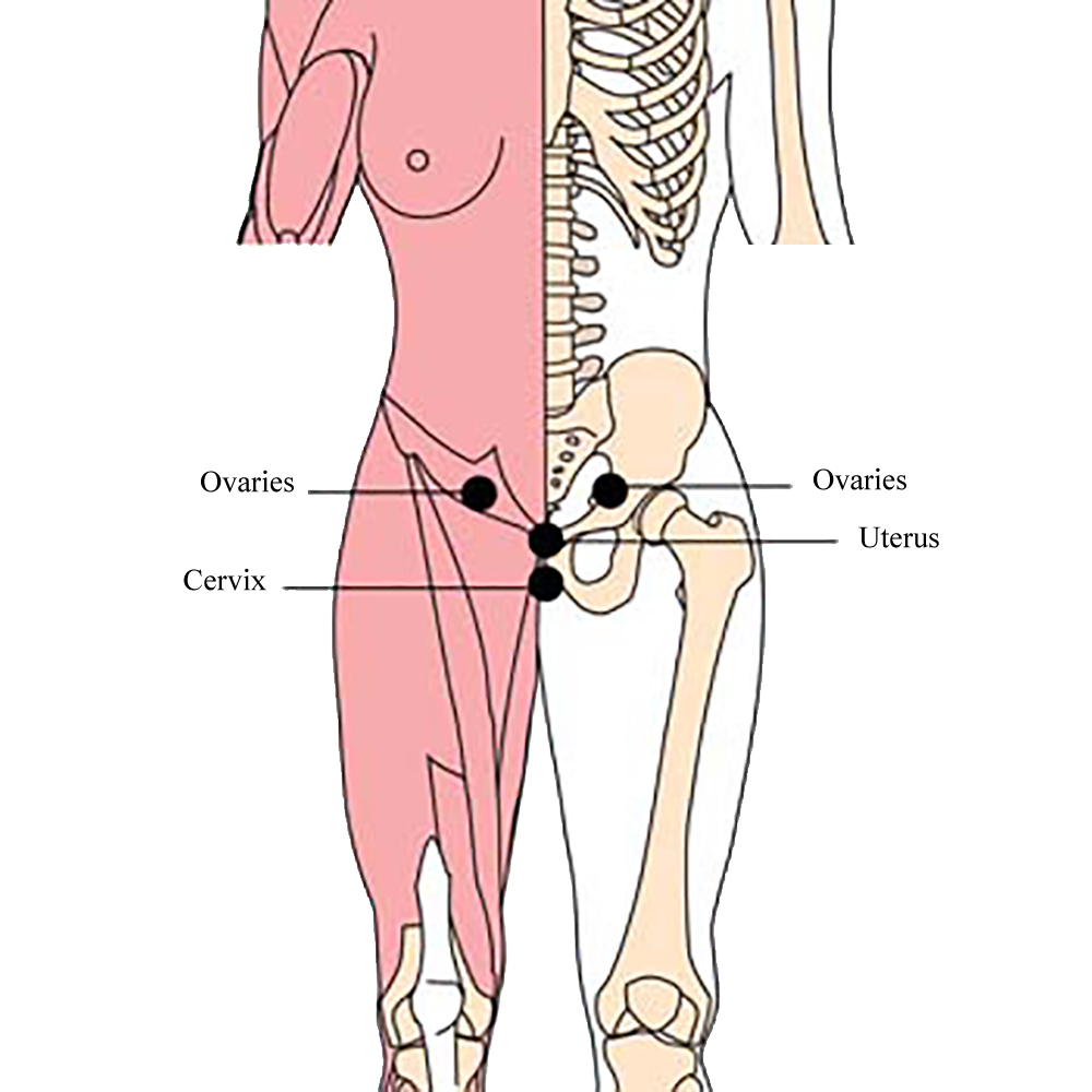 os-ova-ovaries-tlc-points-tachyon-products.png os-ova-ovaries-tlc-points-tachyon-products.png