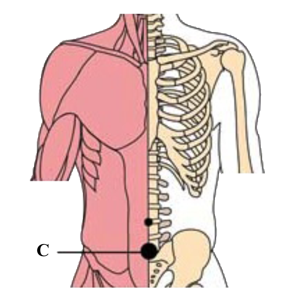 os-pro-prostate-cell-points2-tachyon-products.png os-pro-prostate-cell-points2-tachyon-products.png