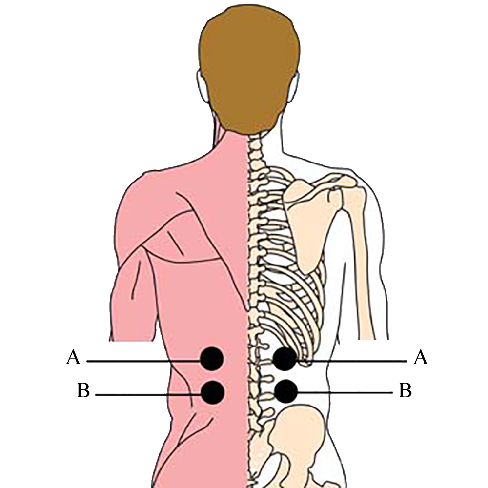 tachyon-product-os-35-menopausal-cell-points1.png
