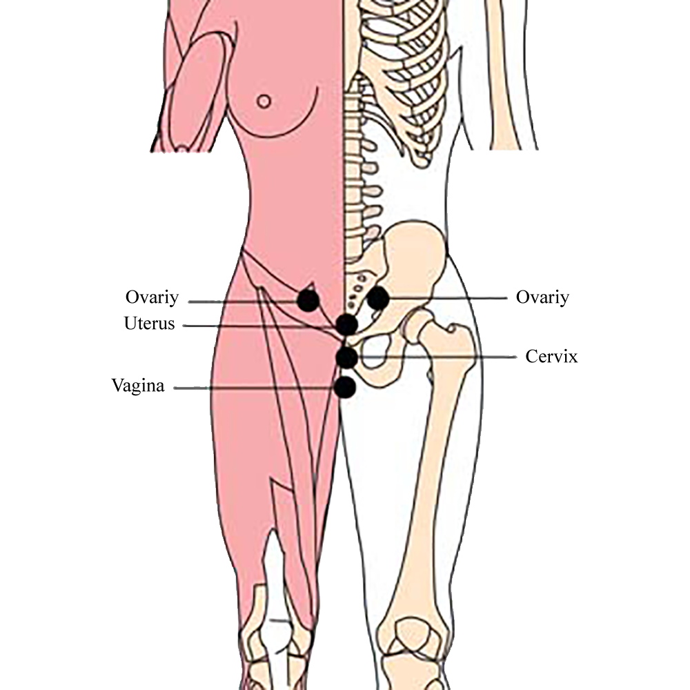 tachyon-product-os-35-menopausal-tlc-points.png