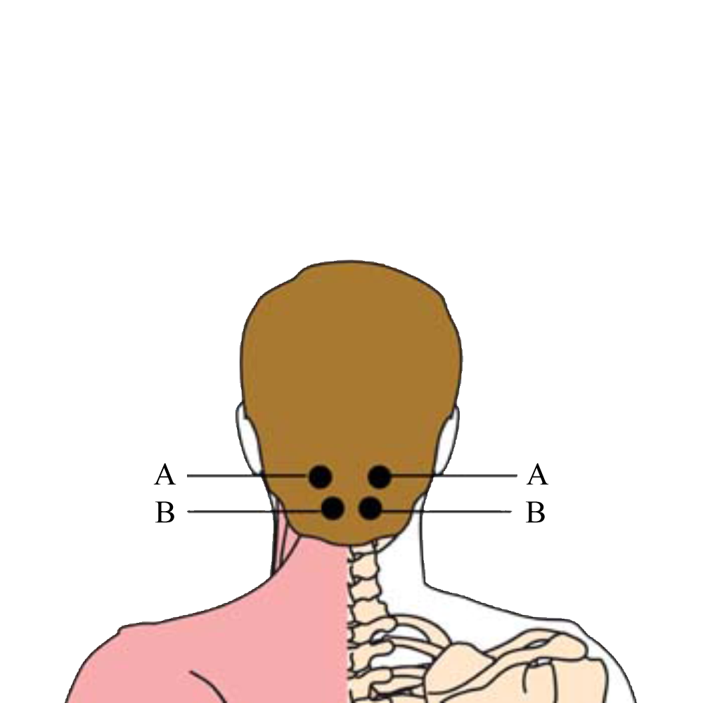 tachyon-products-os-bra-brain-celebral-cell-points1.png