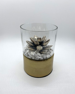 JCVT silver succulent