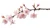 Cherry Blossom 925/14k Part 1