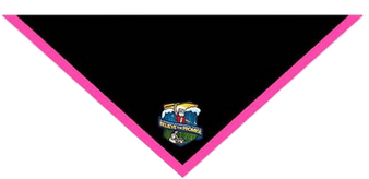 Scarf - Believe the Promise Logo - Three color combinations