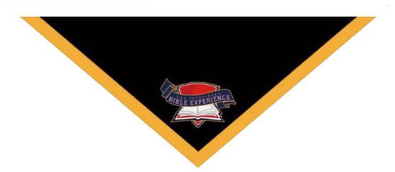 Scarf - PBE Logo - Four color combinations