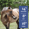 Nutrena SafeChoice Senior Horse Feed, 50 Lbs.