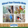 Backyard Seeds Woodpecker & Friends Bird Seed