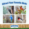 Backyard Seeds Woodpecker Bird Seed Bag - Premium Wild Bird Food for Woodpeckers