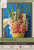 Netherland Bulbs Gladiolus Large Flowering Dazzling Tangerine Mixture