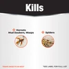 Revenge Wasp & Hornet Foam kills hornets, mud daubers, wasps and spiders and traps insects in nests