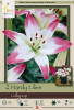 Netherland Bulbs Hardy Lollypop Lilies