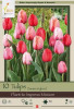 Netherland Bulbs Tulip Plant to Impress Mixture