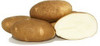 Gold Rush Seed Potato
