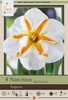 Netherland Bulbs Narcissus Trepolo
