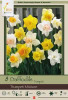 Netherland Bulbs Narcissus Daffodil Trumpet Mixture