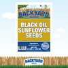 Backyard Seeds Black Oil Sunflower