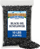 Backyard Seeds Black Oil Sunflower 10 pounds