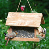 Cedar Lodge Feeder