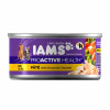 Iams ProActive Health Kitten Pate with Chicken Can Kitten Food, 3 Oz.