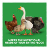 Blue Seal Home Fresh Multi-Flock Chick N Game Starter/Grower Crumble 25#