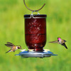 Perky Pet Red Mason Jar Hummingbird Glass Feeder