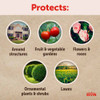 Sevin Insect and Bug Killer Dust