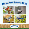 Backyard Seeds Coarse Sunflower Chips Bird Seed