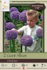 Netherland Bulbs Giant Allium Gladiator 1