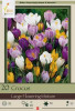 Netherland Bulbs Crocus Large Flowering Mixture
