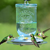 Perky Pet Glass Mason Jar Hummingbird Feeder