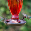 Perky Pet Red Daisy Glass Vase Hummingbird Feeder