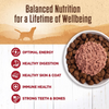 Wellness 95% Beef Grain-Free Canned Dog Food, 13.2oz.