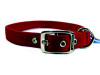Hamilton Double Thick Deluxe Red Nylon Buckle Collar 1 x 28 Inch