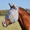 Crusader Fly Mask Mule