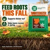 Turf Line Winterizer fertilizer on a fall lawn with a root cross-section. Text highlights thicker turf, spring recovery, and application from September through mid-November.