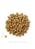 Solid Gold Wolf Cub Bison, Oatmeal & Pearled Barley Large Breed Puppy Formula Dry Dog Food, 24 Pounds