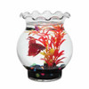Glass Betta Bowl 1 Pint