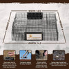 The Chipmunkinator - Humane Live Catch and Release Trap