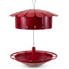 The Humm-Bug Hummingbird Protein Feeder