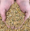 New Country Organics Corn-Free Layer Feed, 50lb Bag