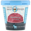 Puppy Cake Smart Scoops Ice Cream Blueberry Flavor For Dogs 5.35oz