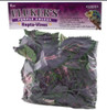 Fluker's Repta-Vines Purple Coleus 6ft