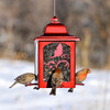 Perky Pet Red Lantern Bird Feeder