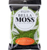 Syndicate Sales Bella Preserved Green Spanish Moss, 200 Cu. In.