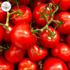 Bloom & Root Natural Tomato Formula Fertilizer 3-3-3, 4 Lbs